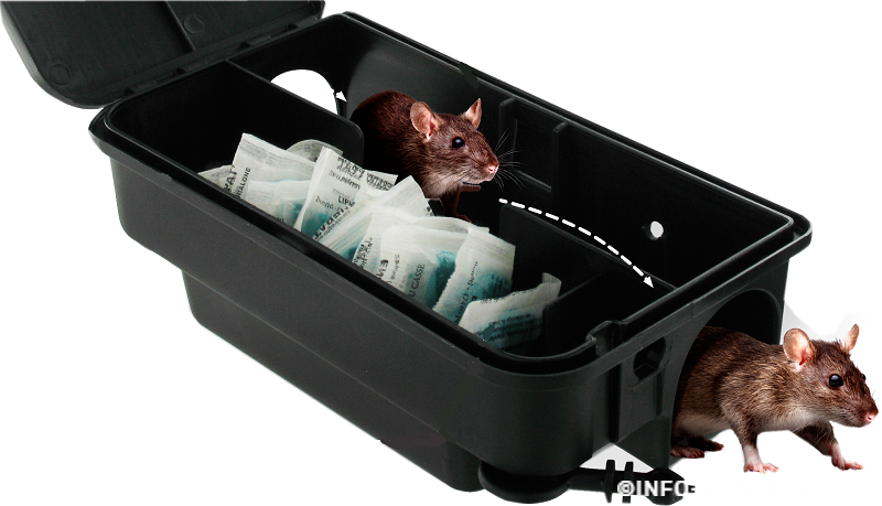 Boîte Appât Rats et Souris – Piège à Rats Professionnel – Station d'Appât  pour Rongeurs Poste d'Appâtage Rats