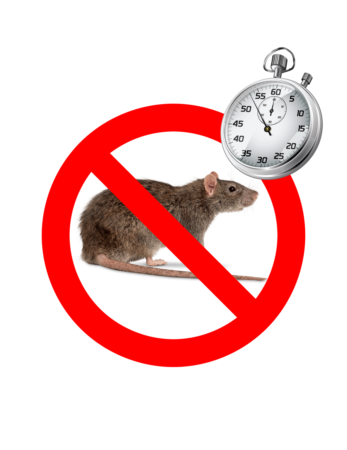 Combien De Temps Antibiotique Pour Agir Combien de temps faut-il pour traiter un problème de rongeur ? - Info