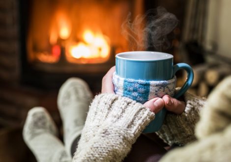 le froid arrive les rongeurs aussi