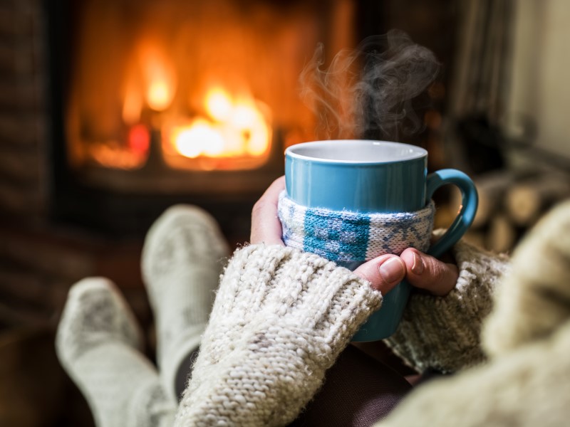 le froid arrive les rongeurs aussi